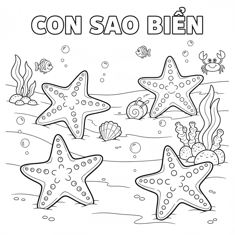 Hình tô màu con sao biển đơn giản