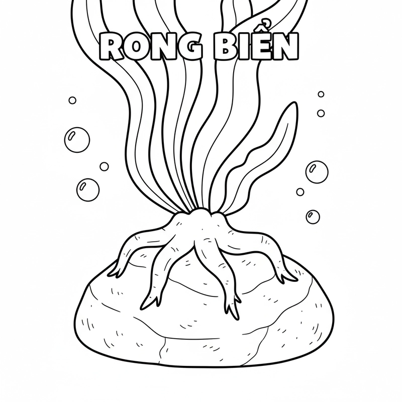 Hình vẽ rong biển cho bé tô màu