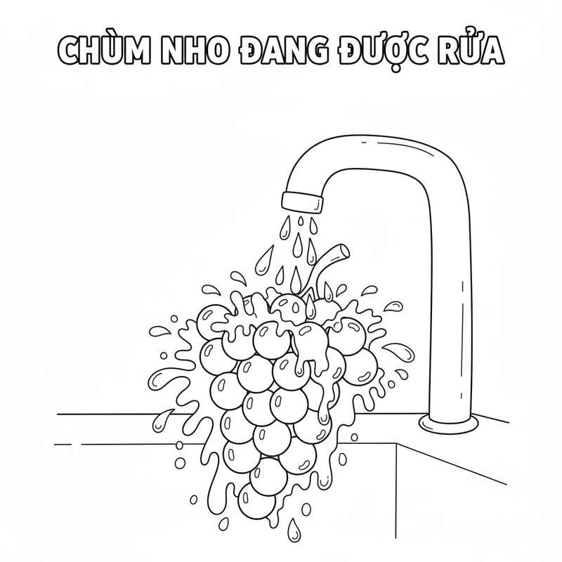 Tô màu quả nho vui nhộn