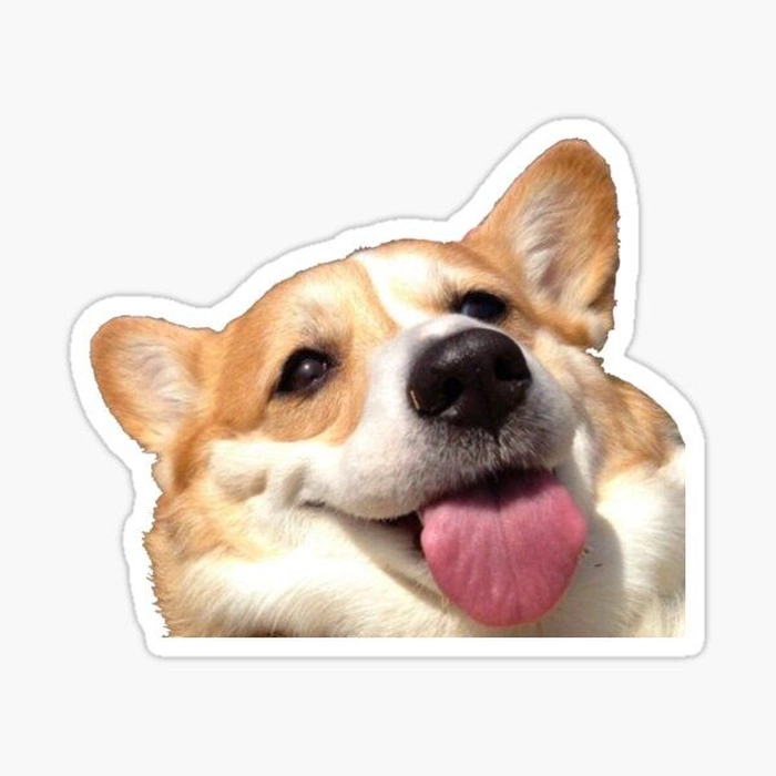 Hình ảnh sticker chó dễ thương vui nhộn