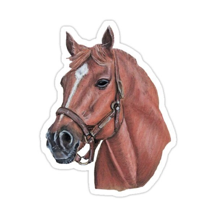 Horse sticker phù hợp mọi thiết kế