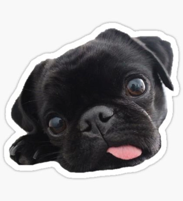 Sticker chó hoạt hình dễ thương đáng yêu