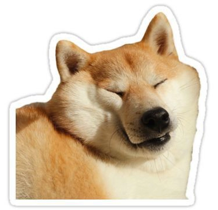 Sticker chó vui nhộn phù hợp chat Zalo