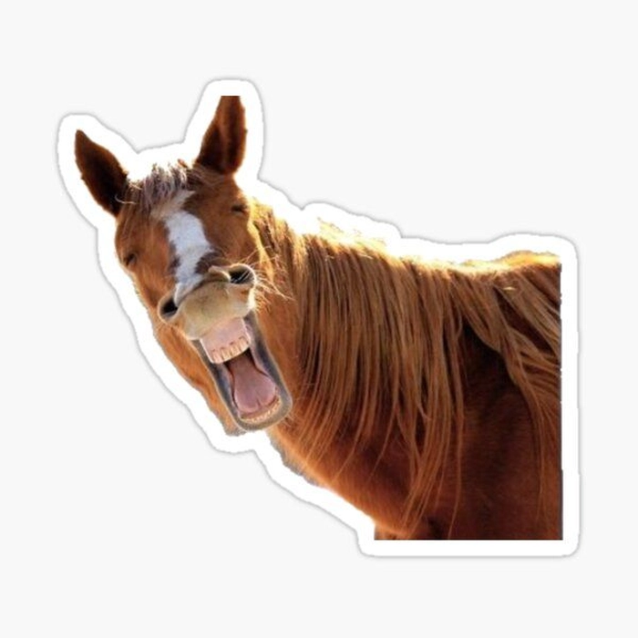 Sticker con ngựa đáng yêu tinh nghịch