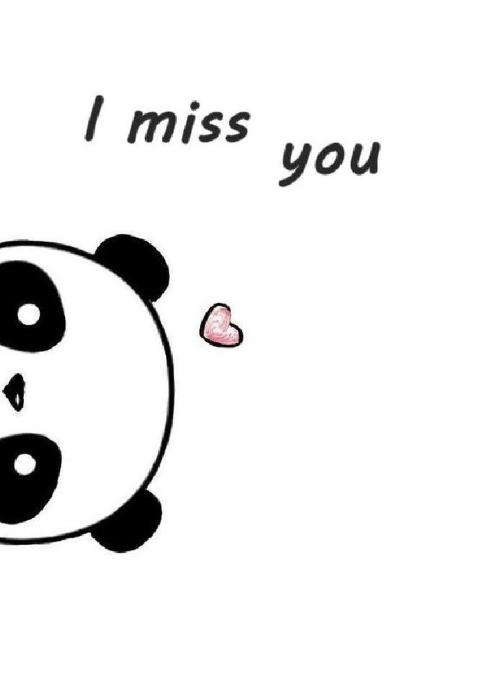 Sticker gấu trúc bựa phá cách