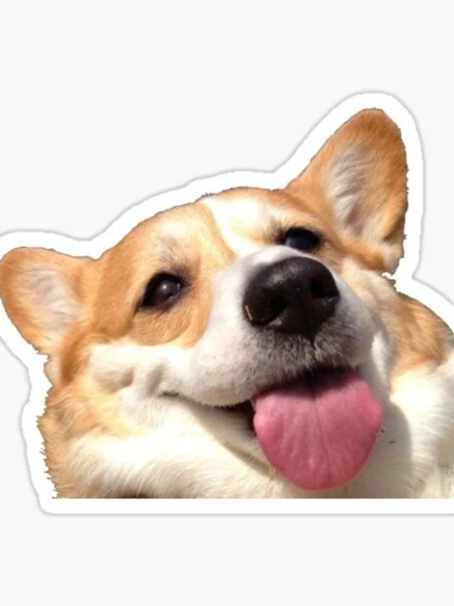 Hình ảnh sticker chó dễ thương vui nhộn