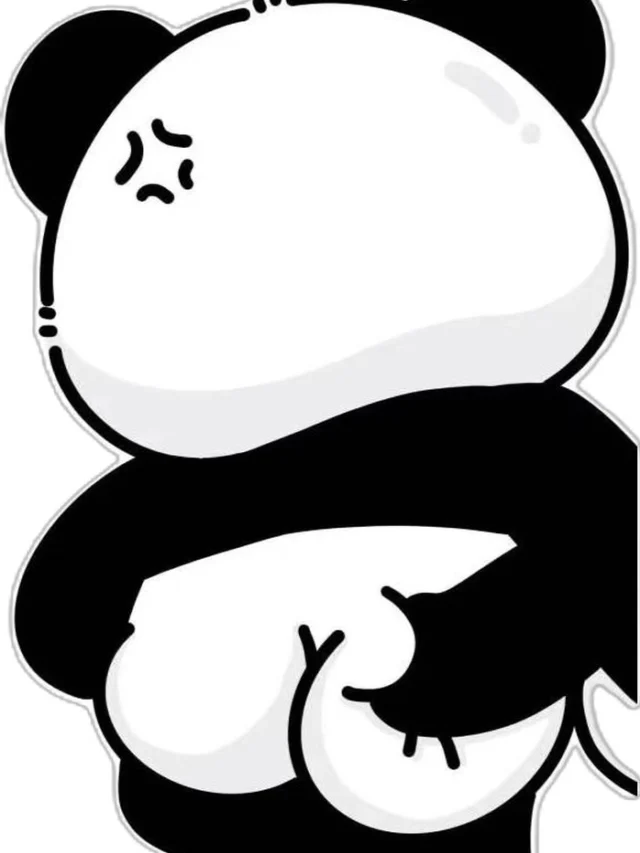 Sticker gấu trúc bựa cho tin nhắn