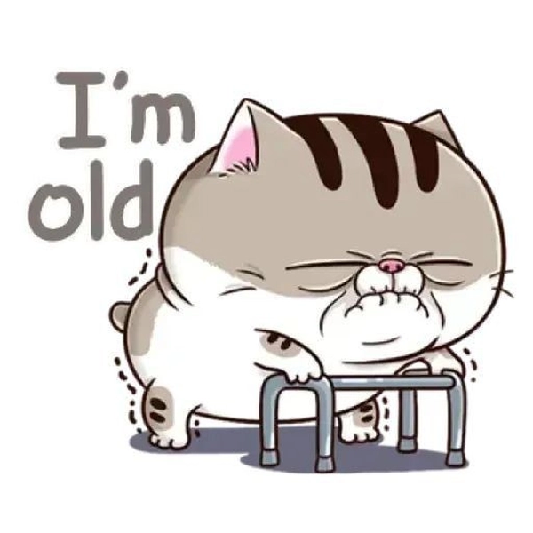 Bộ sticker Ami bụng bự nhiều biểu cảm