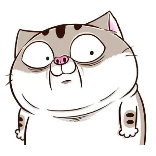 Sticker mèo Ami bụng bự dùng chat