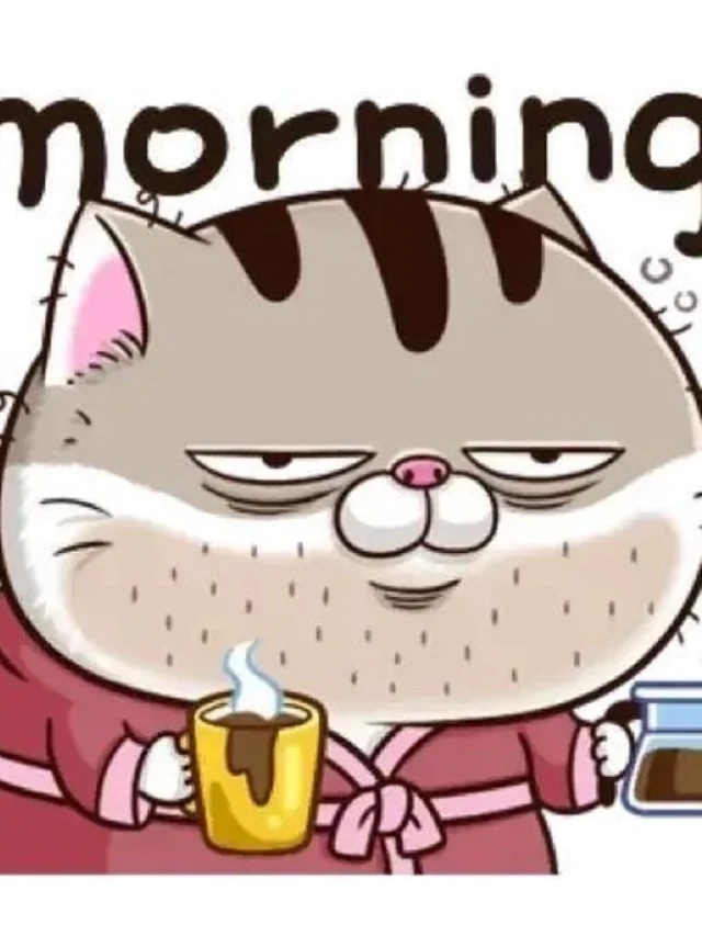 Sticker mèo Ami Zalo vui nhộn