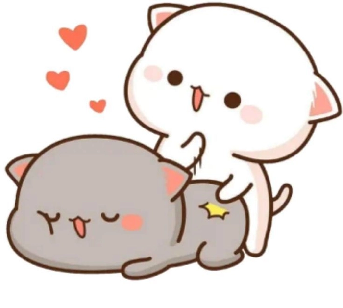 Ảnh sticker gấu dính nhau hài hước