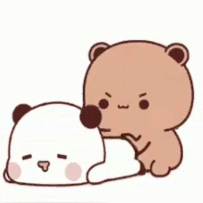 Sticker 2 con gấu dí nhau vui nhộn