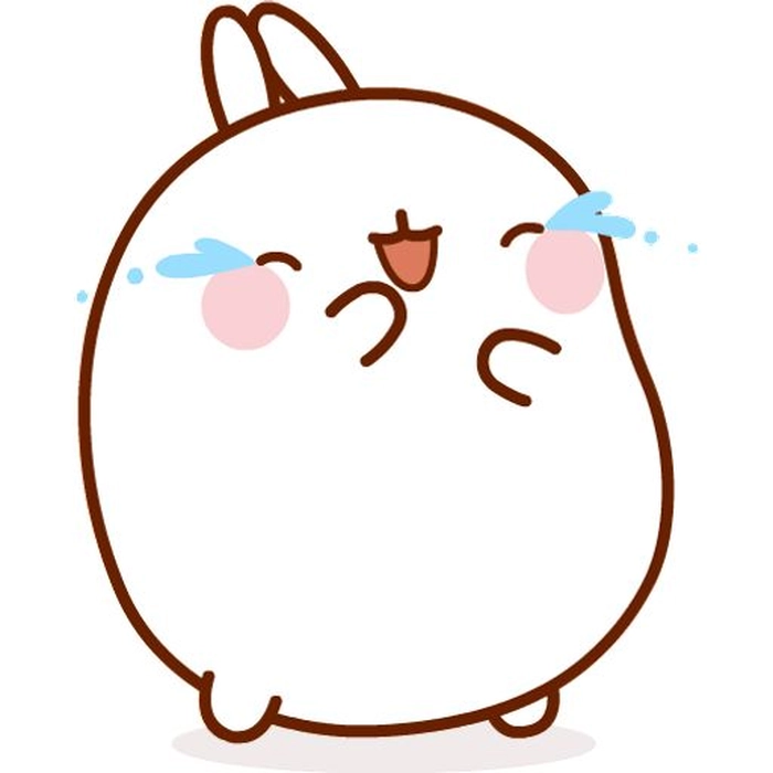 Sticker Molang cute tạo cảm giác vui vẻ