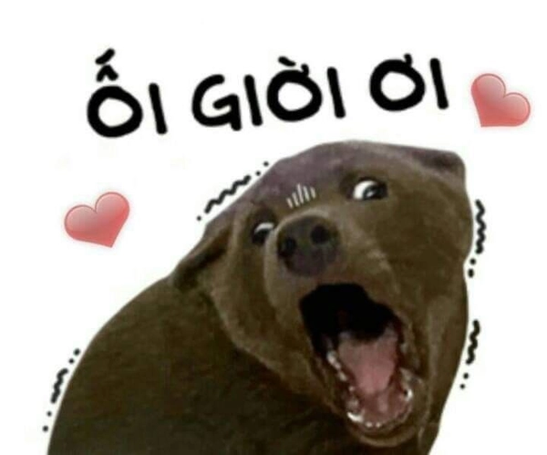 Sticker Telegram cute mang cảm giác vui