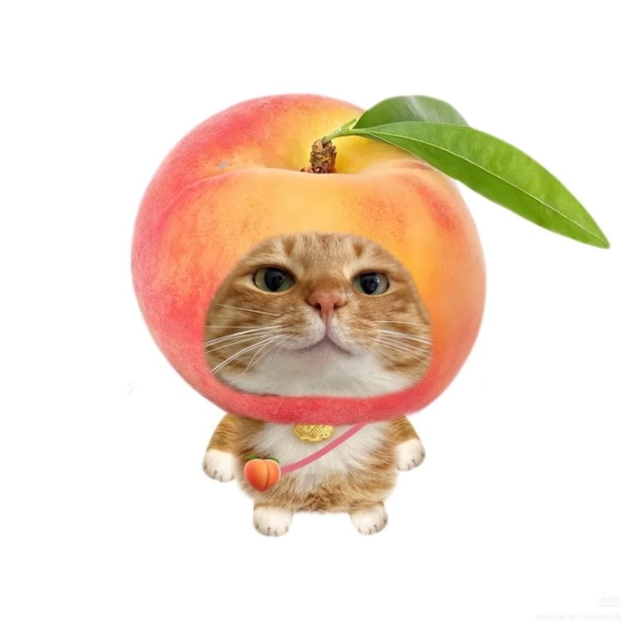 Sticker cute trái cây dùng online