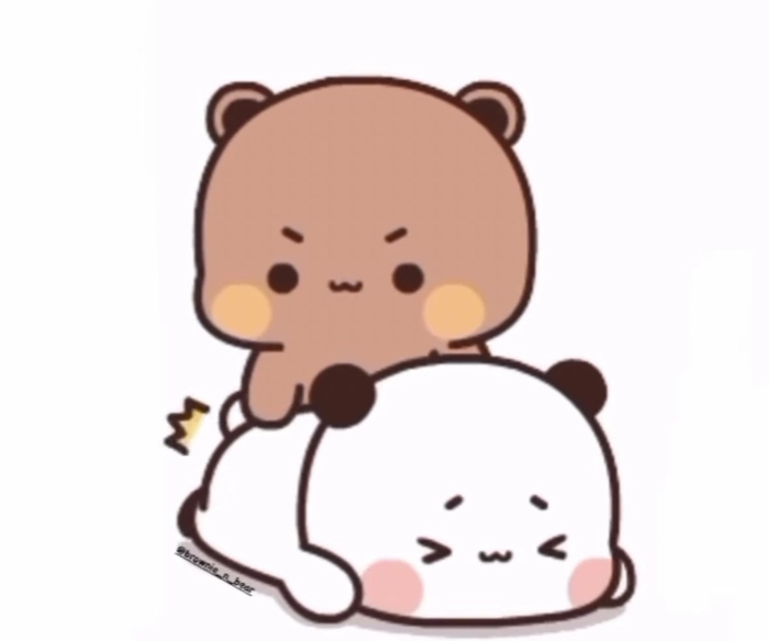 Sticker gấu dí nhau dùng comment dạo