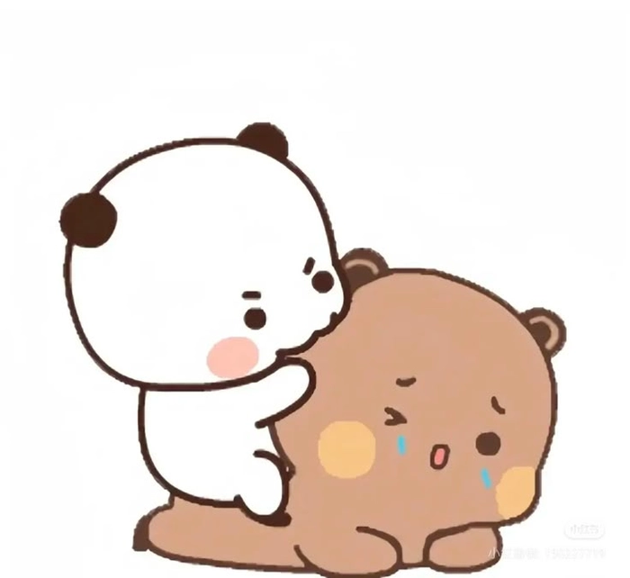 Sticker gấu dí nhau mess cho chat nhóm