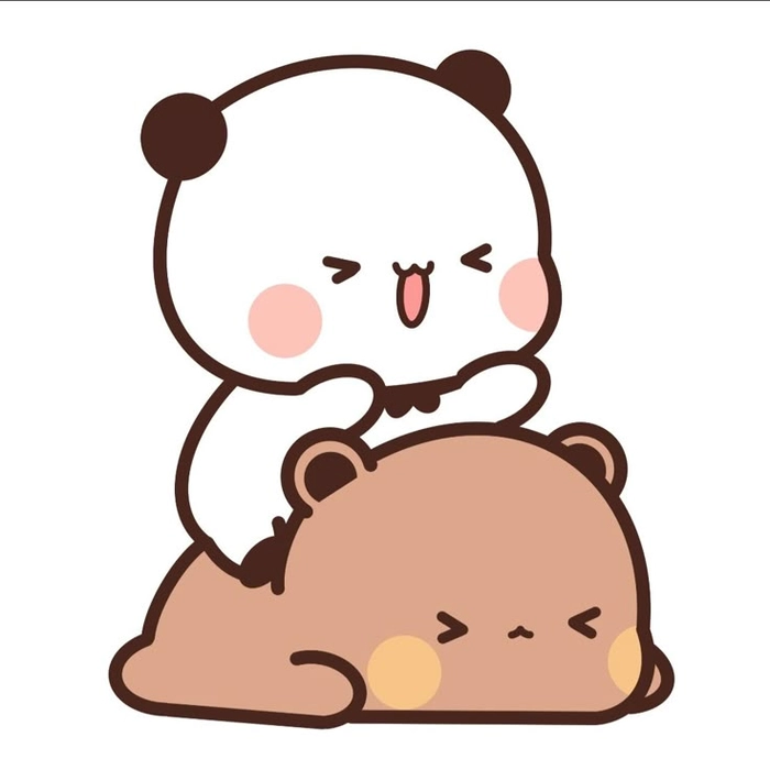 Sticker gấu dí nhau phong cách hài