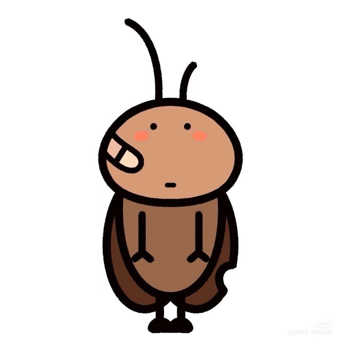 Sticker hình con gián cho chat online