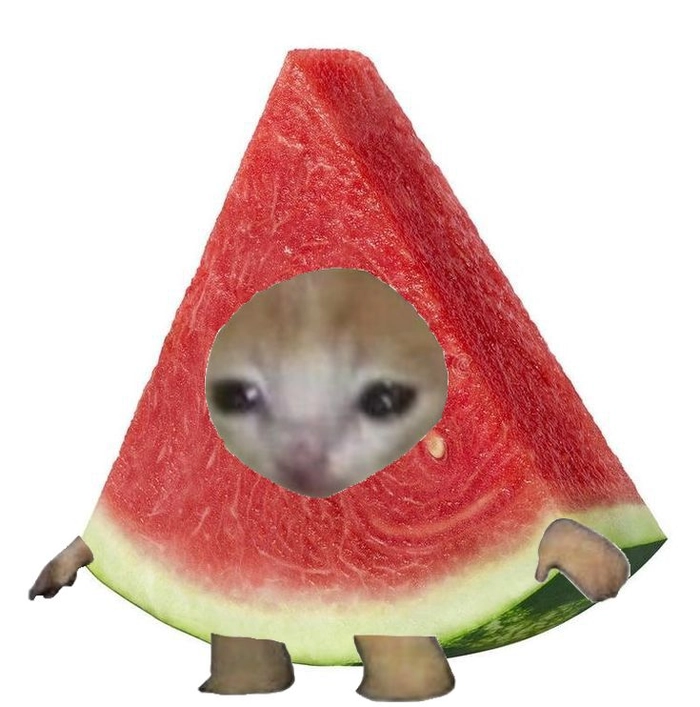 Sticker hình vẽ trái cây dễ thương