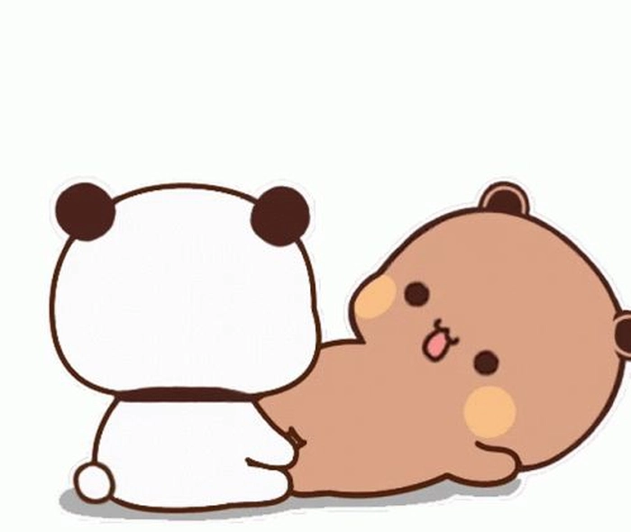 Sticker sugar cubs dí nhau vui nhộn