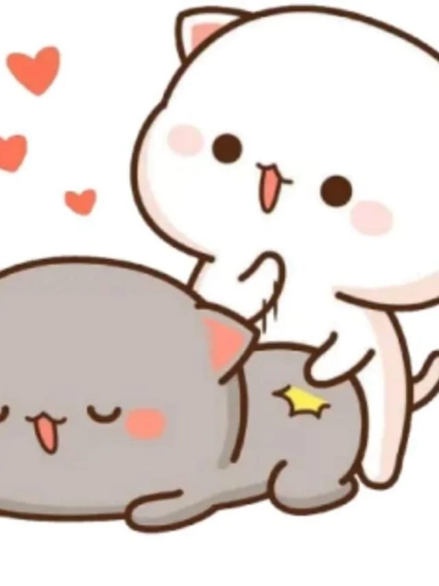 Ảnh sticker gấu dính nhau hài hước