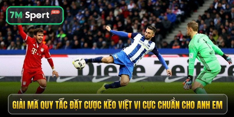 giai ma quy tac dat cuoc keo viet vi cuc chuan cho anh em