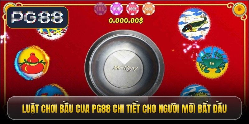 luat choi bau cua pg88 chi tiet cho nguoi moi bat dau