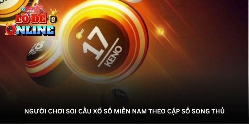 Người chơi soi cầu xổ số miền nam theo cặp số song thủ