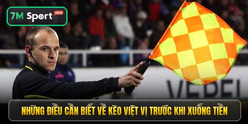 nhung dieu can biet ve keo viet vi truoc khi xuong tien