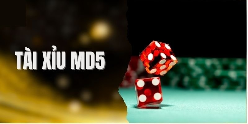 Cơ chế hoạt động – Mã hóa MD5, quy trình tạo kết quả và cách xác minh