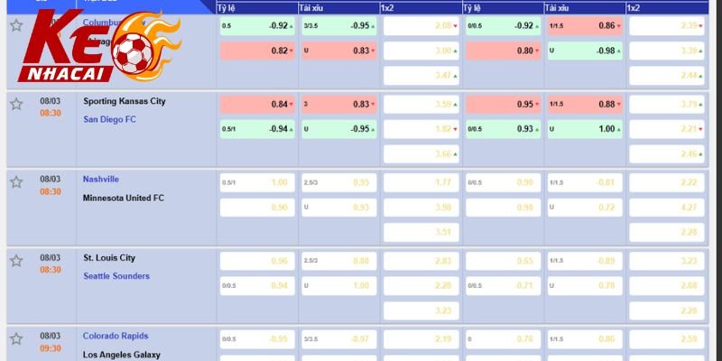 toi uu nguon loi nhuan tu viec dau tu bong