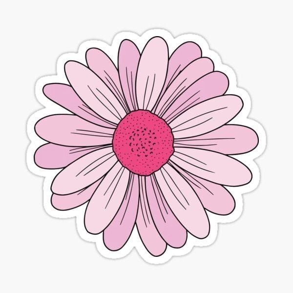 Sticker hoa cute full bộ