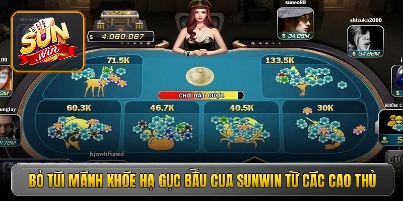 Bỏ túi mánh khóe hạ gục bầu cua Sunwin từ các cao thủ