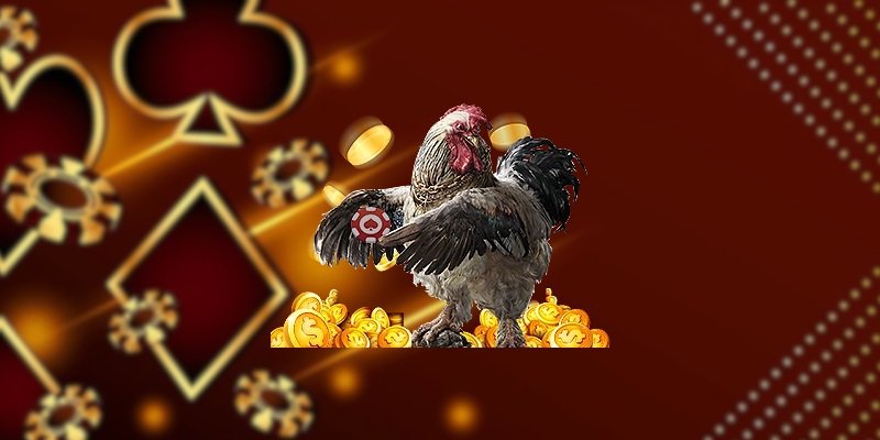 Lý do Luck8 đá gà được nhiều hội viên tin tưởng