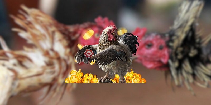 Luck8 đá gà và sức hút nổi bật trên thị trường