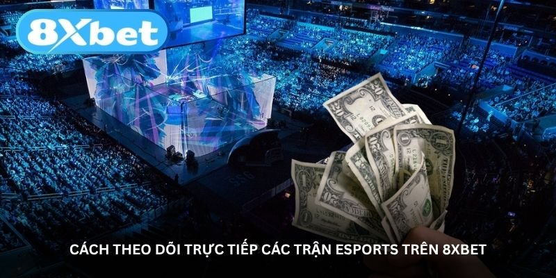 cach theo doi truc tiep cac tran esports tren