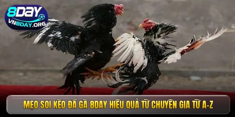meo soi keo da ga 8day hieu qua tu chuyen gia tu a z