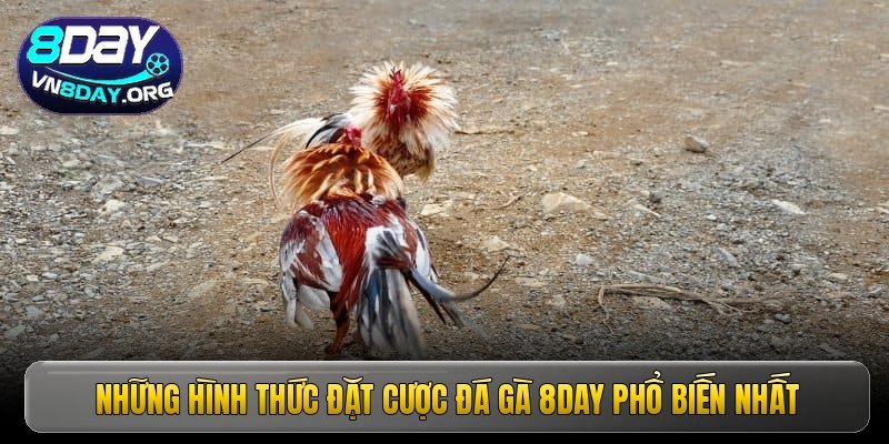 nhung hinh thuc dat cuoc da ga 8day pho bien nhat