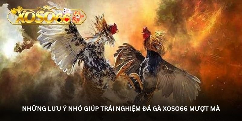 nhung luu y nho giup trai nghiem da ga xoso66 muot ma
