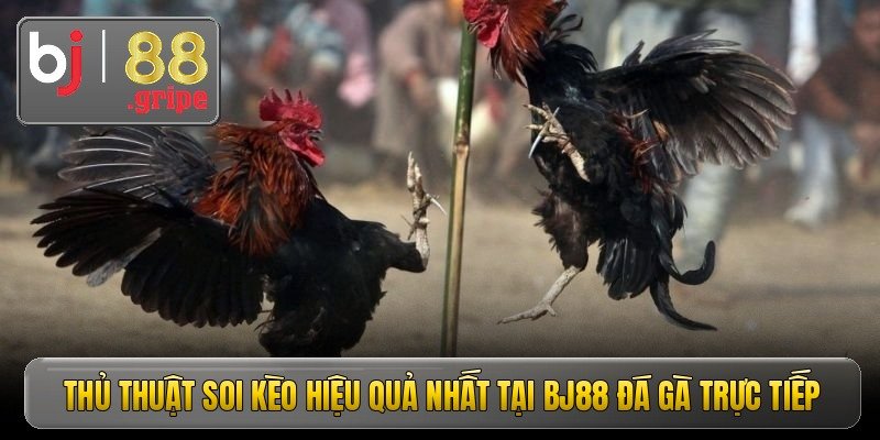 thu thuat soi keo hieu qua nhat tai bj88 da ga truc tiep