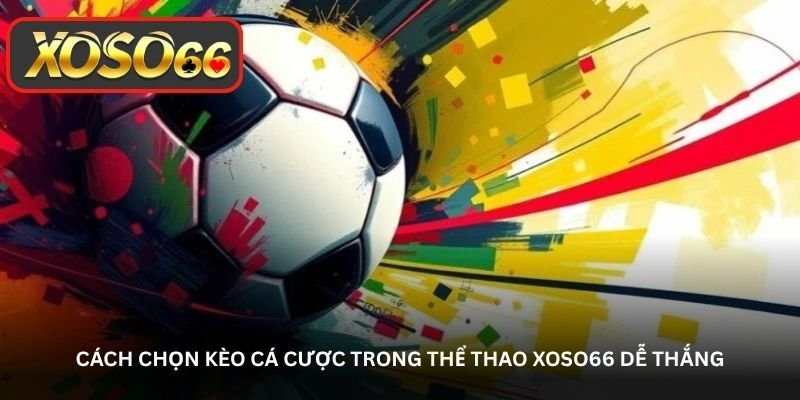 Cách chọn kèo cá cược trong Thể thao Xoso66 dễ thắng