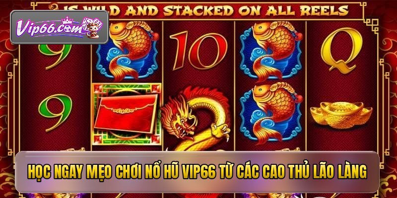 hoc ngay meo choi no hu vip66 tu cac cao thu lao lang