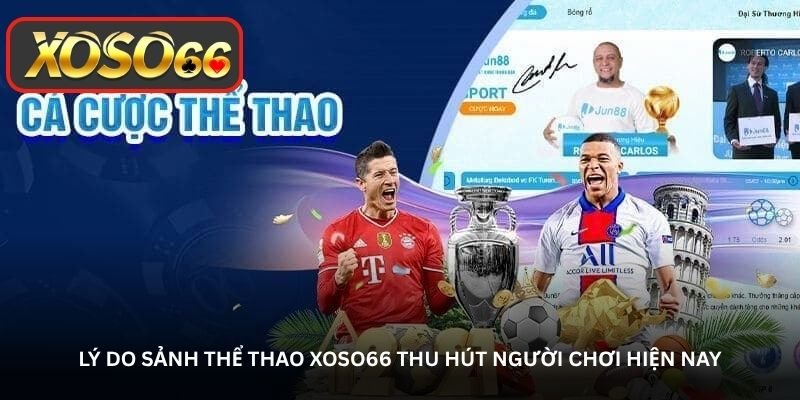 Lý do sảnh thể thao Xoso66 thu hút người chơi hiện nay
