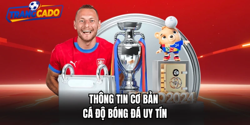 thong tin co ban ca do bong da uy tin