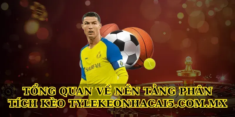 tong quan ve nen tang phan tich keo tylekeonhacai5 com