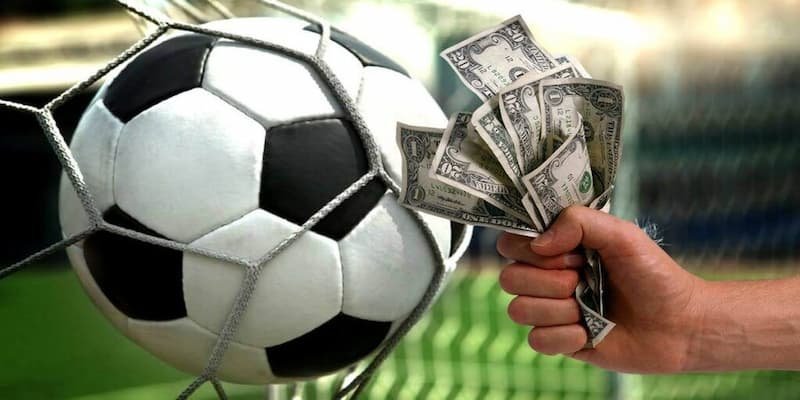 Điểm danh những giải đấu hàng đầu tại bóng đá 8xbet