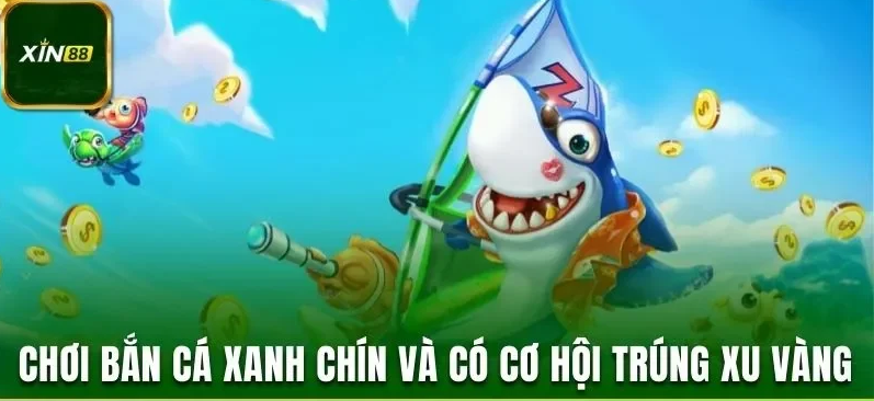 Làm quen hỏa lực: Kiểm tra chi phí, mục tiêu và nhịp vận hành