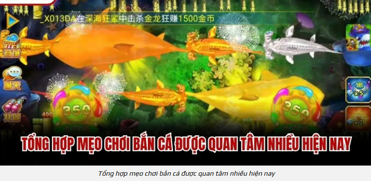 Điều chỉnh theo tình huống: Cá đơn, đàn đông, mục tiêu lớn và vùng mép
