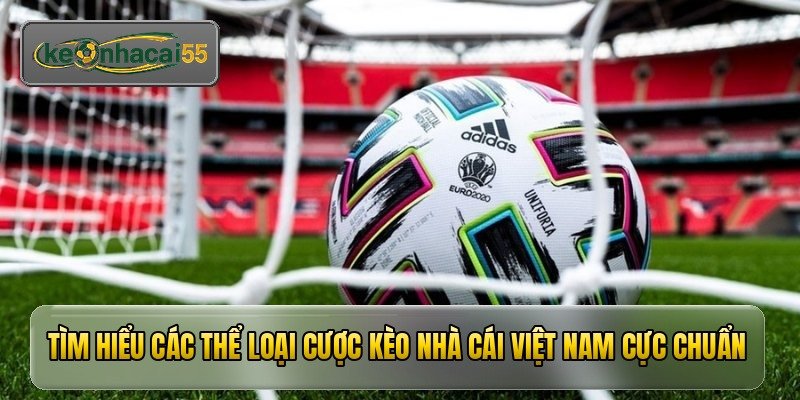 tim hieu cac the loai cuoc keo nha cai viet nam cuc chuan